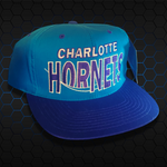 Charlotte Hornets Vintage Snapback Hat | New With Tags.