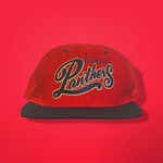 Florida Panthers Rare Vintage Deadstock Snapback Hat | Nutmeg Mills - All-Star Classics