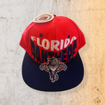 Florida Panthers Vintage 90s Snapback | C-Competitor Brand New With Tags - All-Star Classics